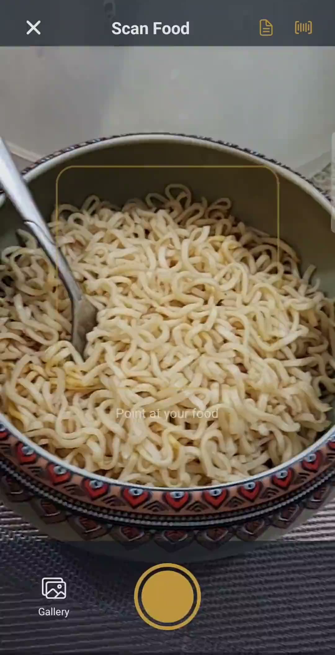 The MoreLife camera framing a bowl of food, ready to scan