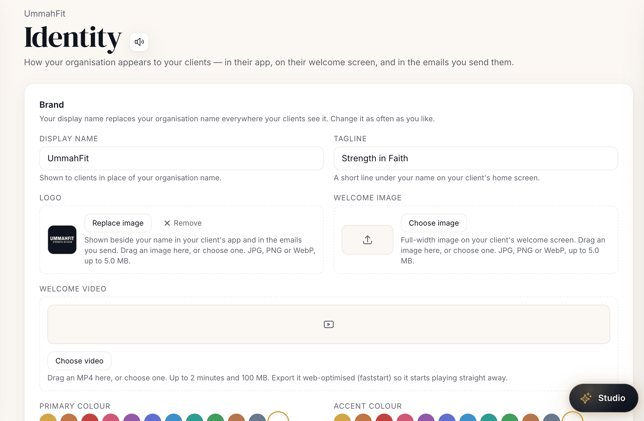The MoreLife trainer Studio identity settings: display name, tagline, logo and brand colours